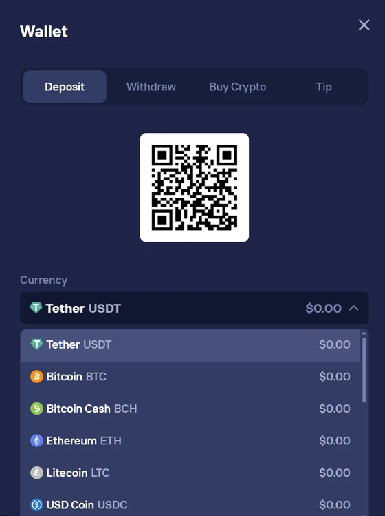Duel Casino portemonnee-stortingsscherm: QR-code voor crypto-adres, met een volledige lijst met ondersteunde valuta's: USDT, BTC, BCH, ETH, LTC, USDC.
